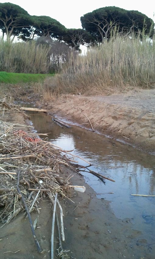 I fossi e lo stagno di Baratti (Piombino - LI)